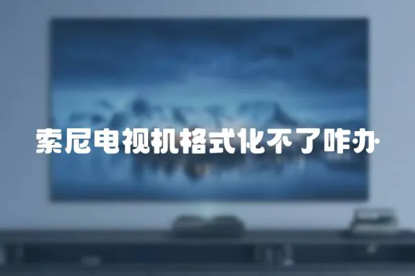 索尼電視機格式化不了咋辦