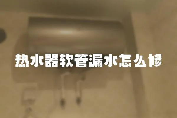 熱水器軟管漏水怎么修