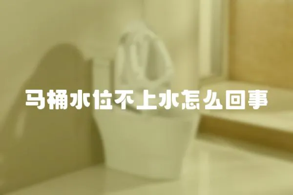 馬桶水位不上水怎么回事