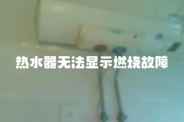 熱水器無法顯示燃燒故障