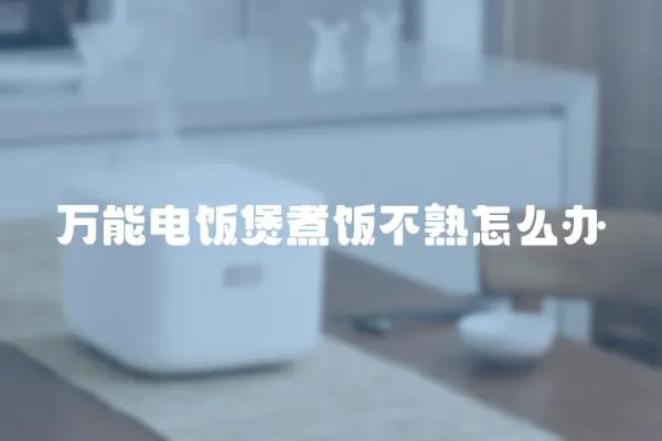 萬能電飯煲煮飯不熟怎么辦