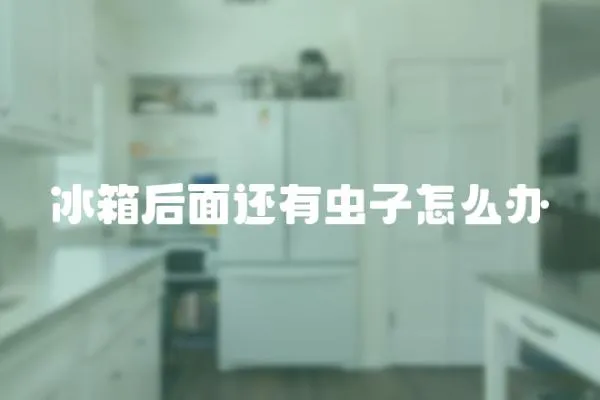 冰箱后面还有虫子怎么办