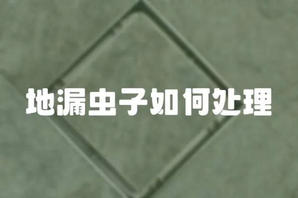 地漏蟲子如何處理