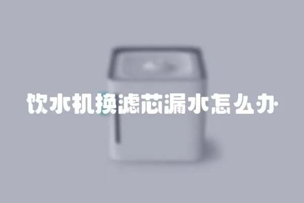 飲水機換濾芯漏水怎么辦