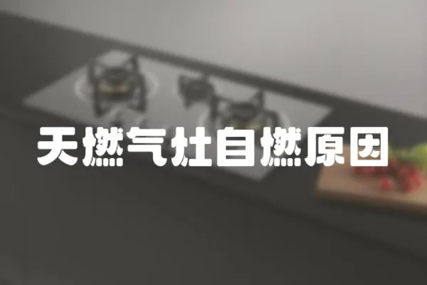 天燃氣灶自燃原因