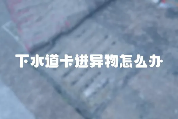 下水道卡進異物怎么辦
