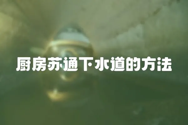 廚房蘇通下水道的方法