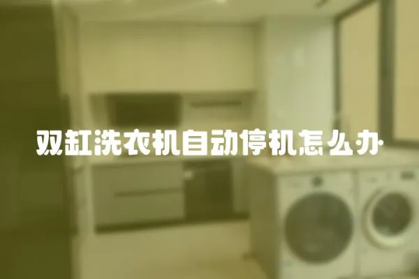 雙缸洗衣機自動停機怎么辦