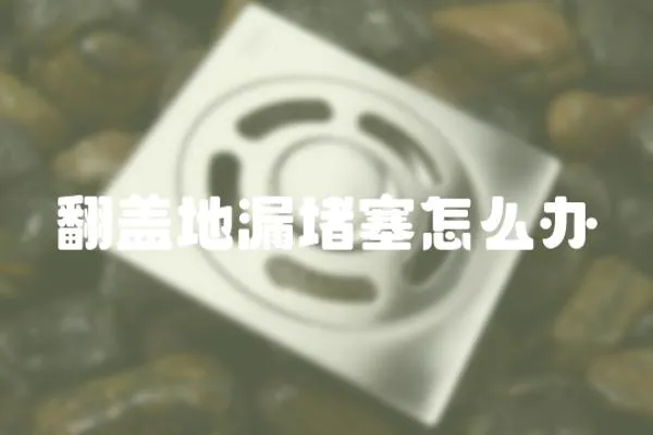 翻蓋地漏堵塞怎么辦