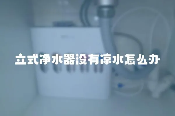 立式净水器没有凉水怎么办