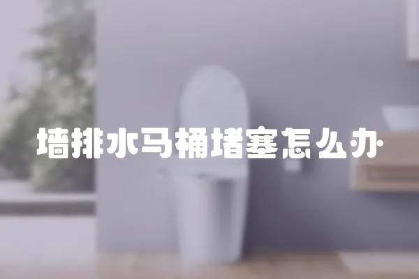 墻排水馬桶堵塞怎么辦