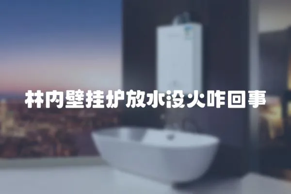 林內壁掛爐放水沒火咋回事