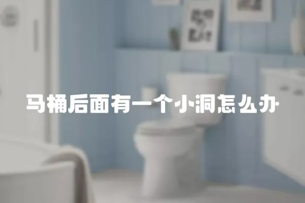馬桶后面有一個小洞怎么辦