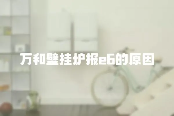 萬和壁掛爐報e6的原因