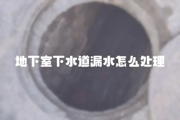地下室下水道漏水怎么處理