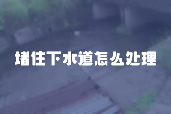 堵住下水道怎么處理