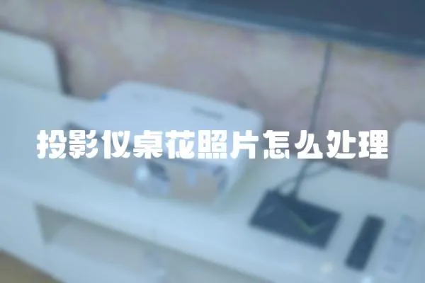 投影儀桌花照片怎么處理