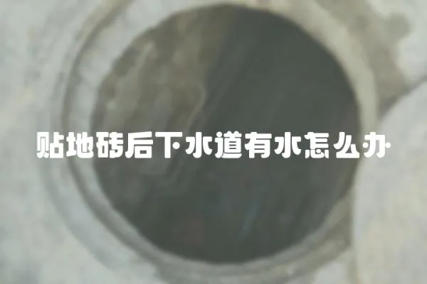 貼地磚后下水道有水怎么辦