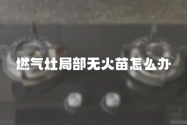 燃?xì)庠罹植繜o(wú)火苗怎么辦