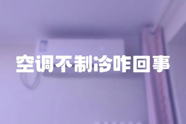 空調(diào)不制冷咋回事