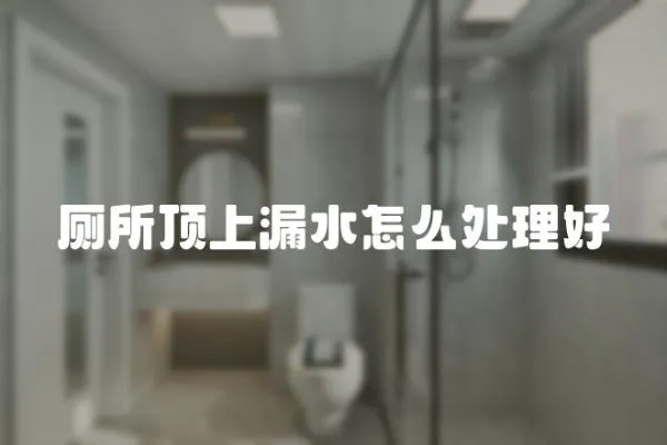 廁所頂上漏水怎么處理好