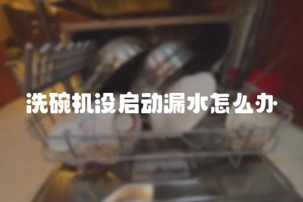 洗碗機沒啟動漏水怎么辦