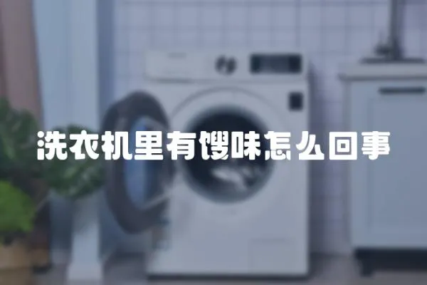 洗衣機里有餿味怎么回事