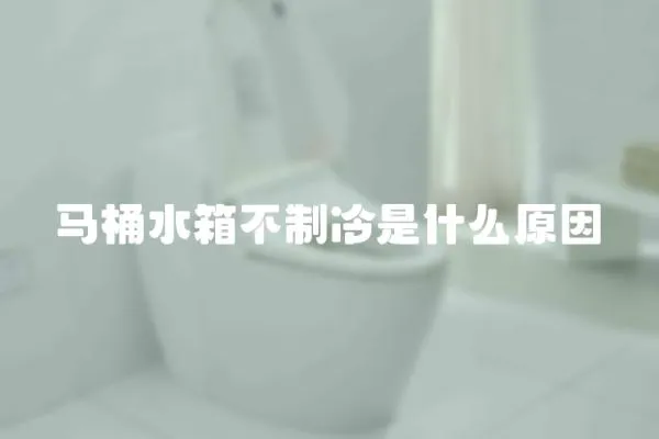 馬桶水箱不制冷是什么原因
