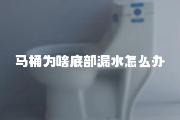 馬桶為啥底部漏水怎么辦