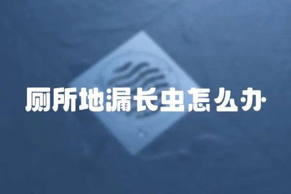 廁所地漏長蟲怎么辦