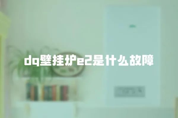 dg壁掛爐e2是什么故障