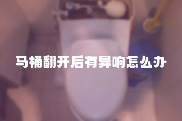 馬桶翻開后有異響怎么辦