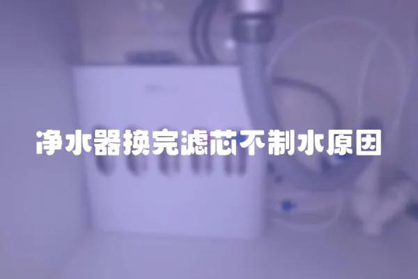 凈水器換完濾芯不制水原因