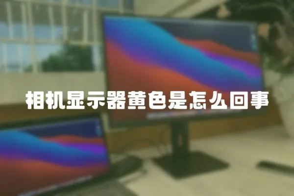 相機顯示器黃色是怎么回事