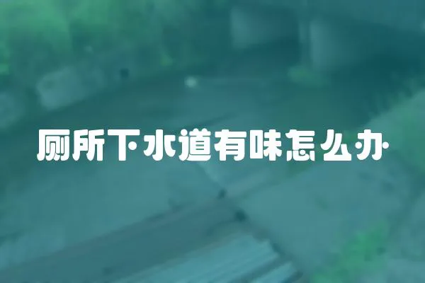 廁所下水道有味怎么辦