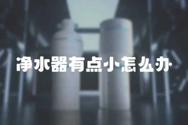 凈水器有點(diǎn)小怎么辦