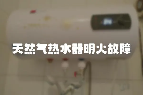 天然氣熱水器明火故障