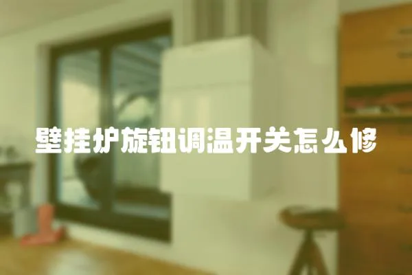 壁掛爐旋鈕調(diào)溫開關(guān)怎么修