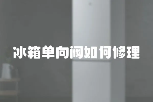 冰箱單向閥如何修理
