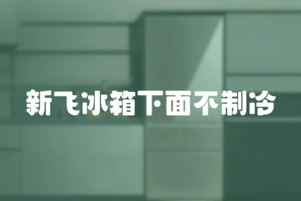 新飛冰箱下面不制冷