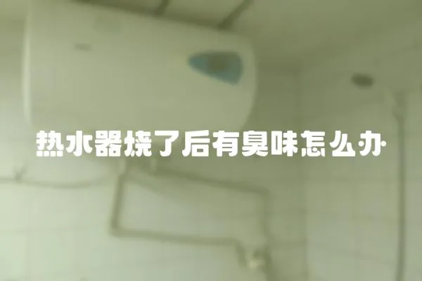 熱水器燒了后有臭味怎么辦