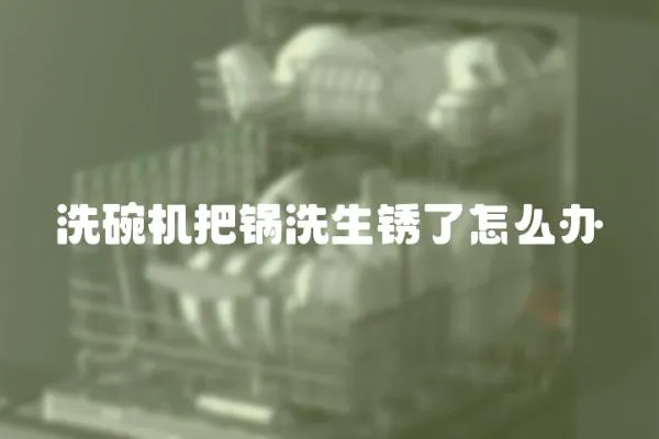 洗碗機把鍋洗生銹了怎么辦