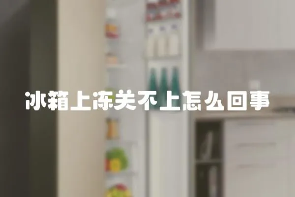 冰箱上凍關不上怎么回事