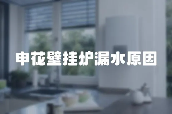 申花壁掛爐漏水原因