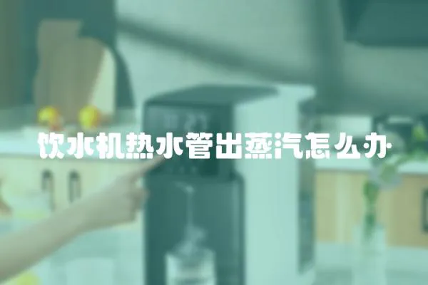 飲水機熱水管出蒸汽怎么辦