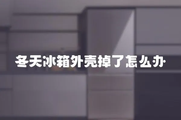 冬天冰箱外殼掉了怎么辦