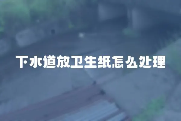 下水道放衛(wèi)生紙?jiān)趺刺幚?></a></div>
                    <div   id=