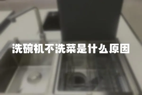 洗碗機不洗菜是什么原因