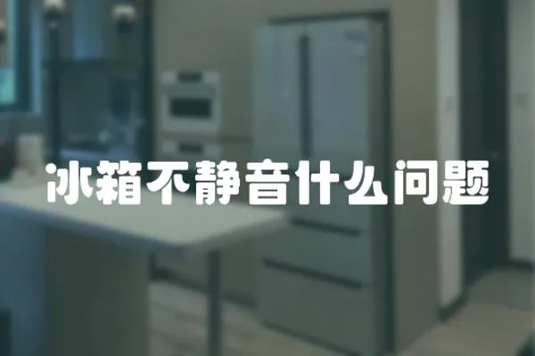 冰箱不靜音什么問題