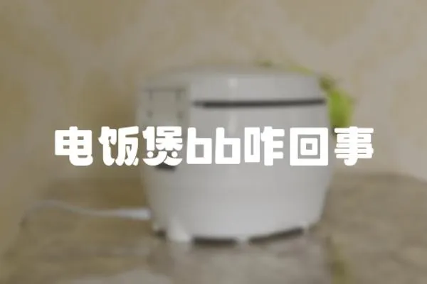 電飯煲bb咋回事